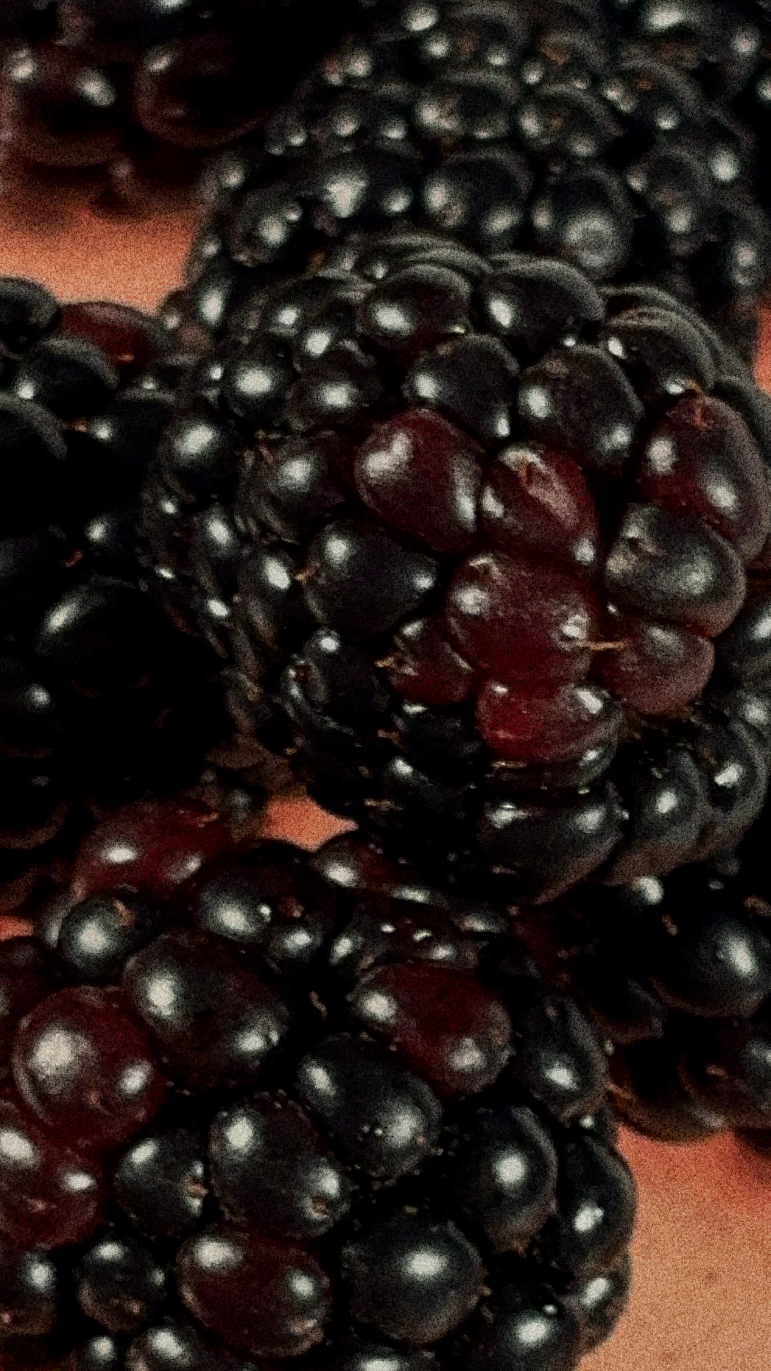 Blackberry Jam - Blackberry Patch Fruit Syrups, Preserves and Blackberry Jam - Blackberry Patch Fruit Syrups, Preserves and
