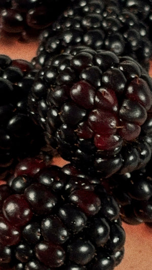 Blackberry Jam